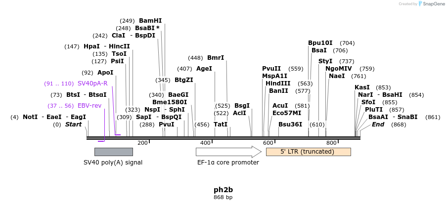 38703_map