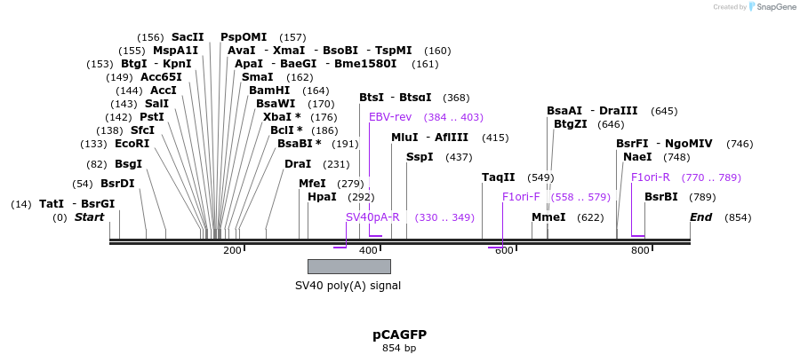 38705_map