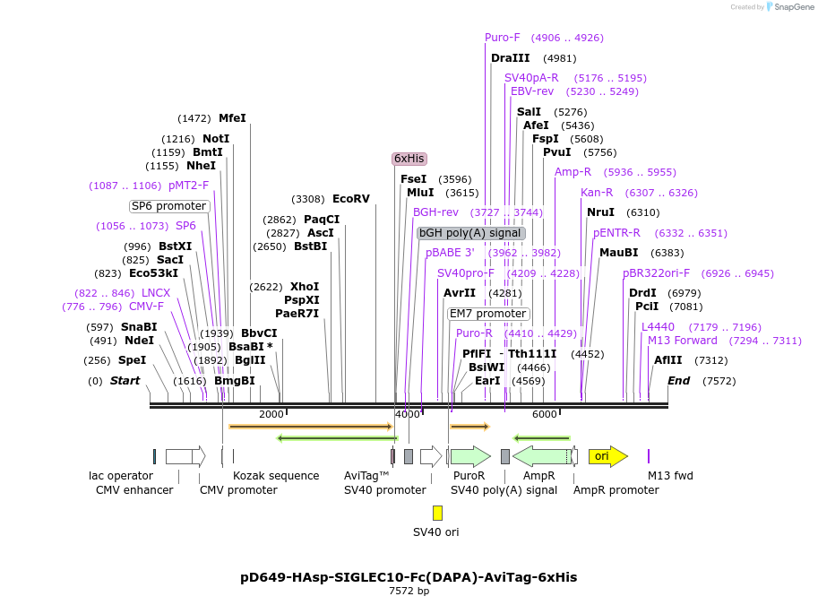 387050_map