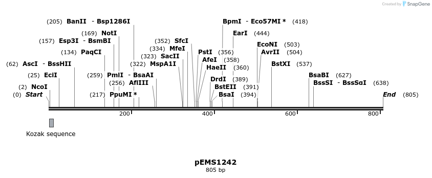 38706_map