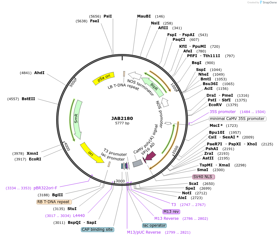 387071_map