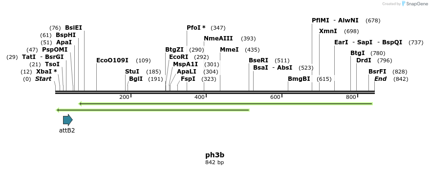 38708_map