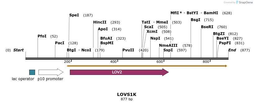 38714_map