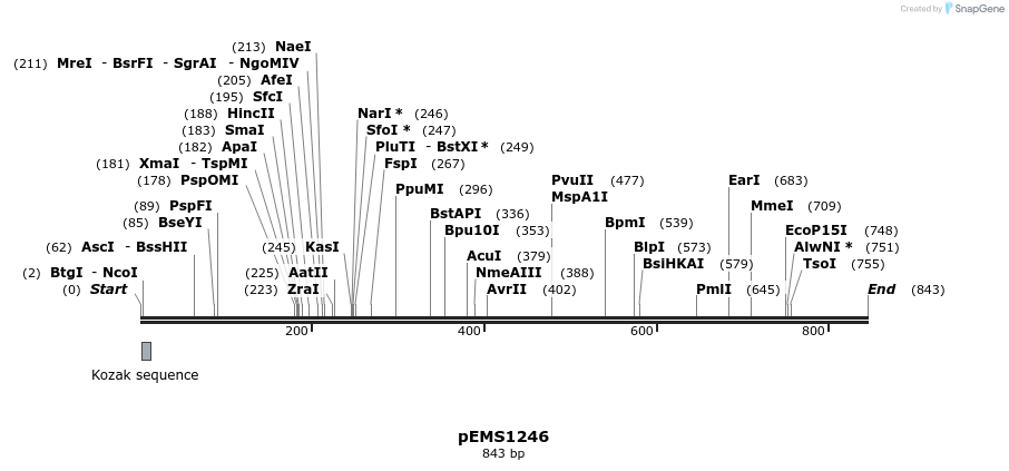 38715_map