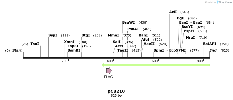 38716_map
