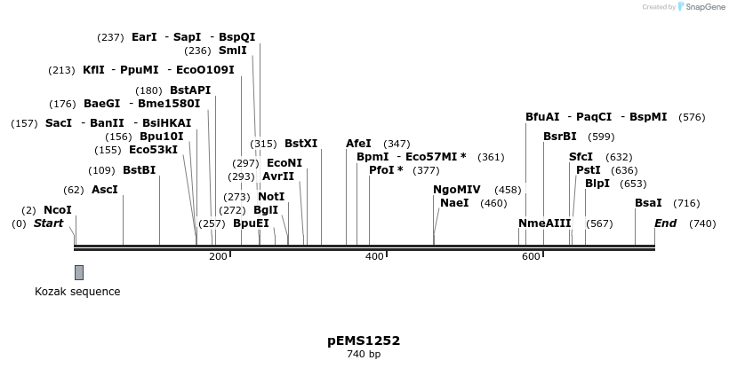 38722_map