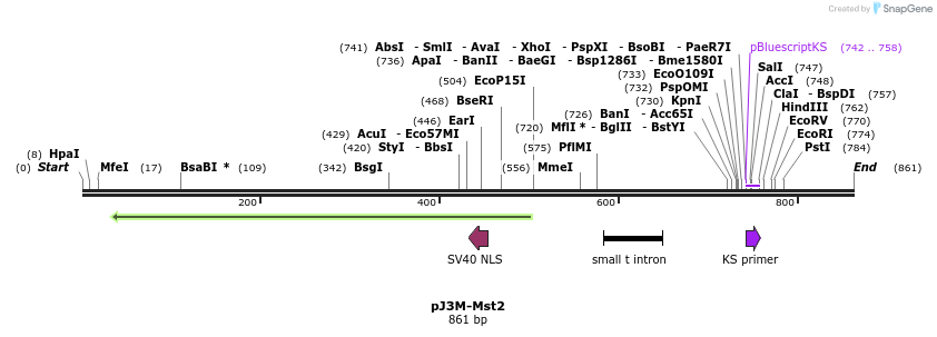 38723_map