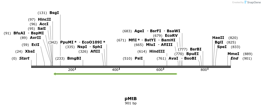 38729_map