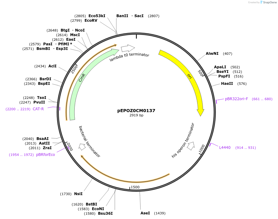 387311_map