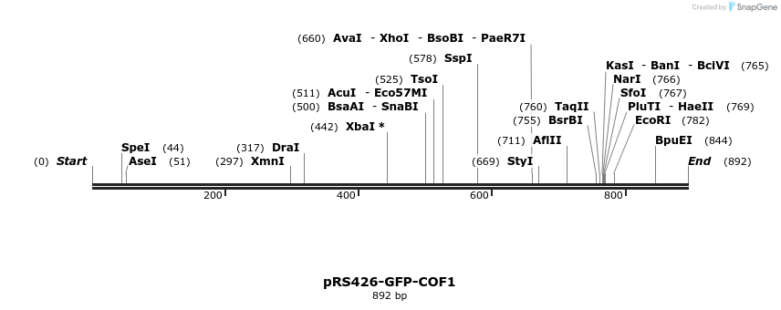 38735_map
