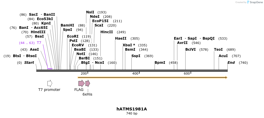 38742_map