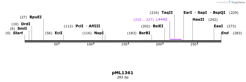 38745_map