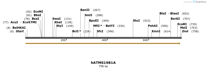 38746_map