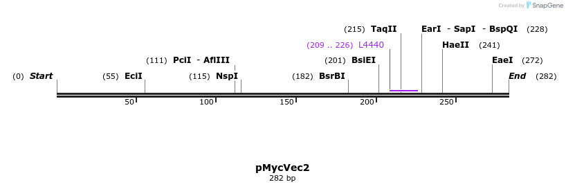 38748_map