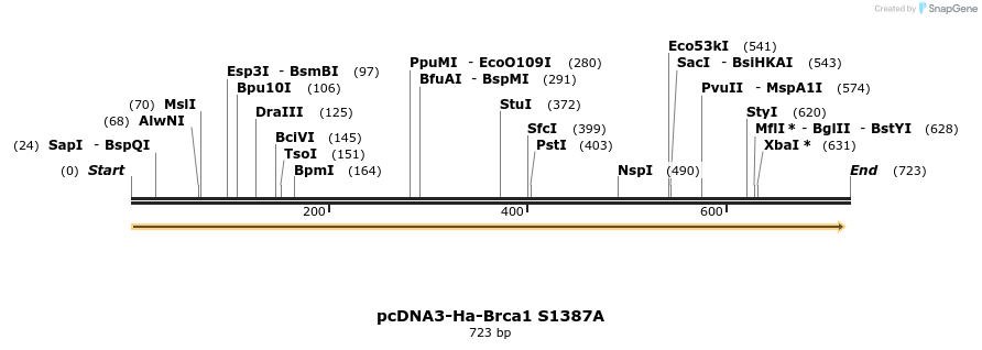 38752_map