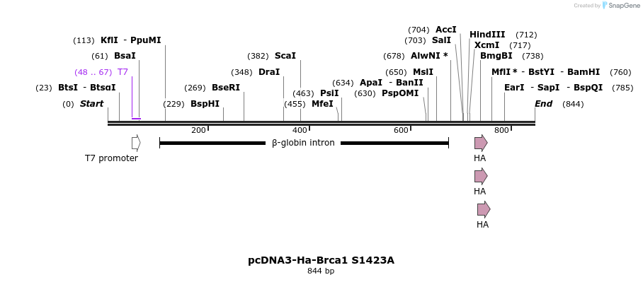 38753_map