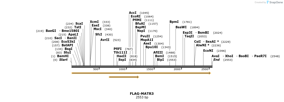 38754_map