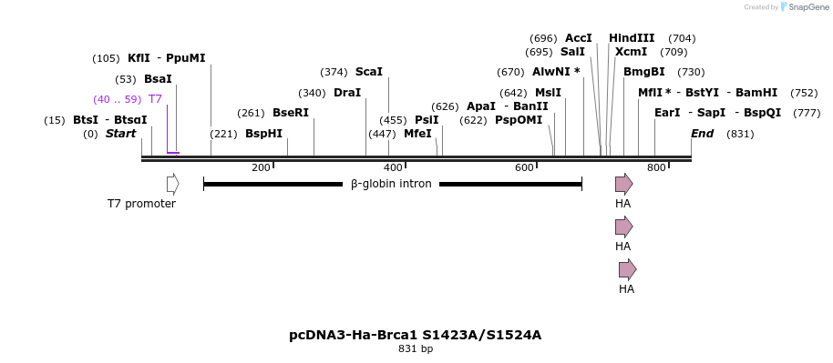 38756_map