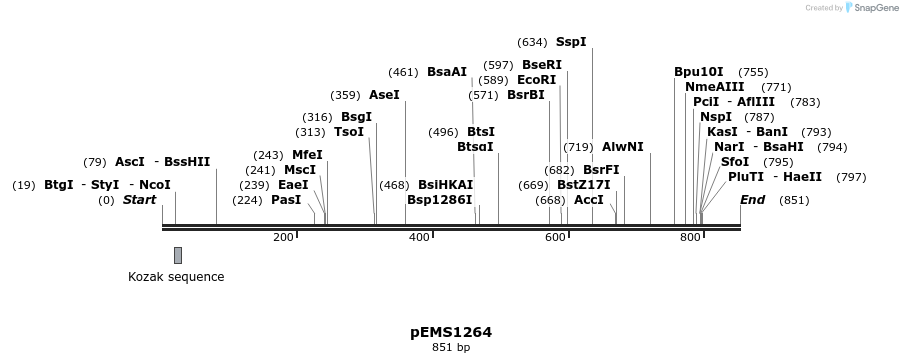 38761_map