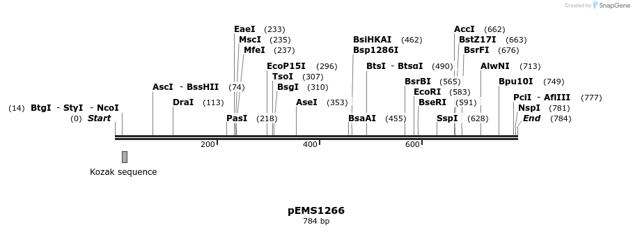 38765_map