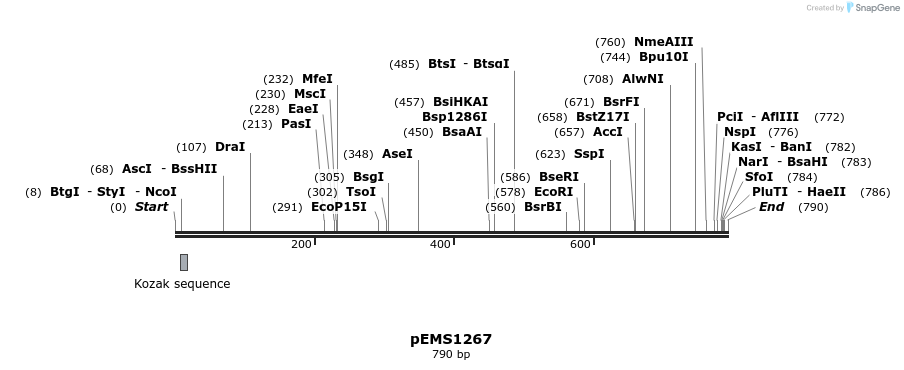 38767_map