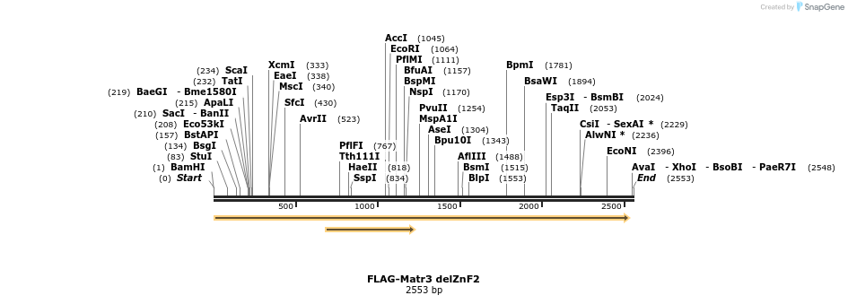38768_map