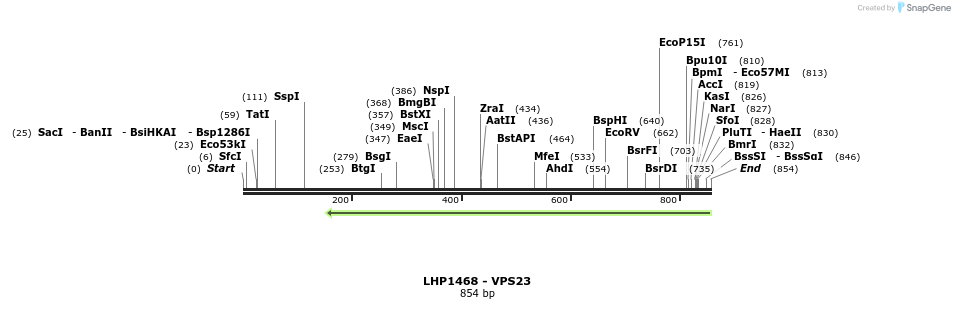 38770_map