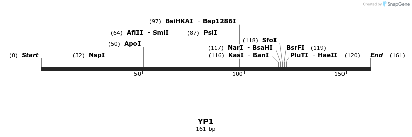 387736_map