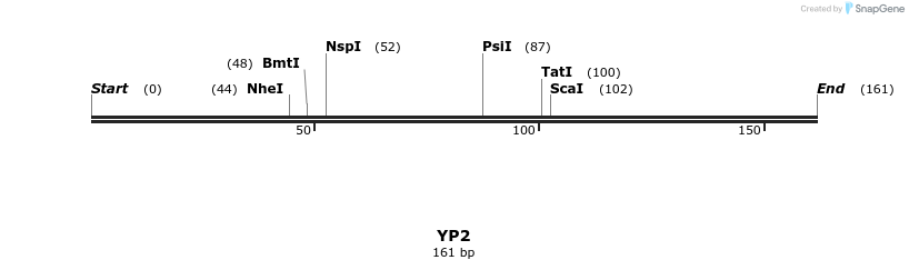 387738_map