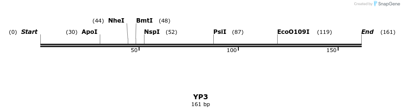 387740_map