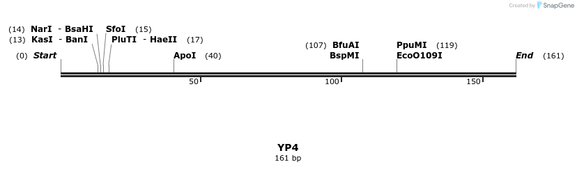 387742_map