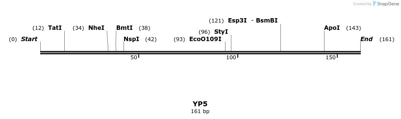 387744_map