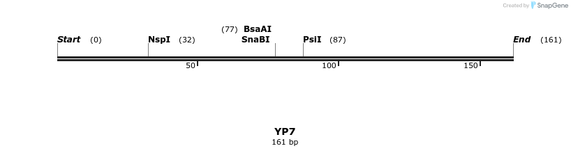 387748_map