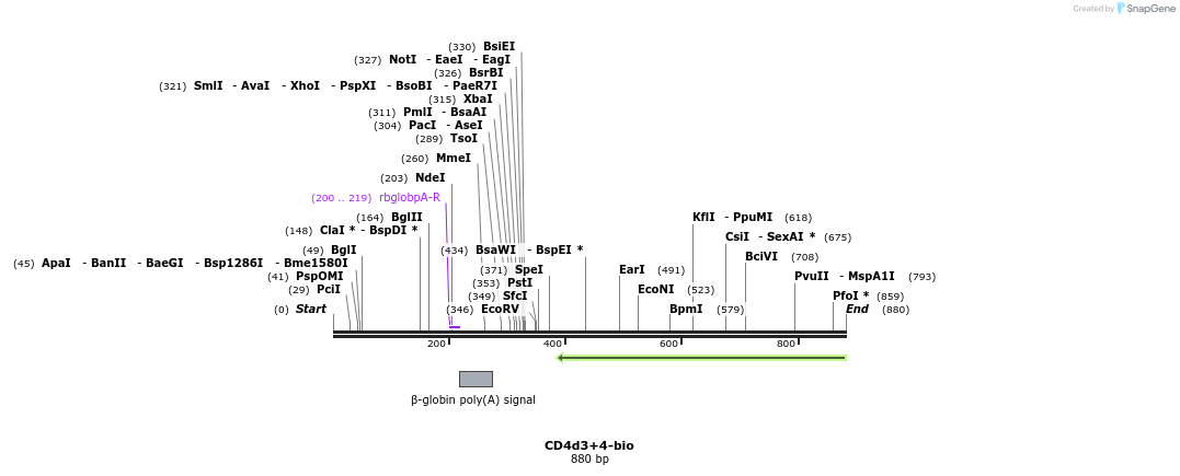 38775_map