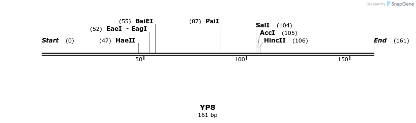 387750_map