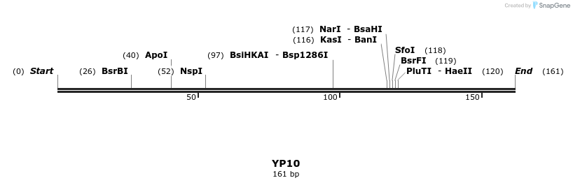 387754_map