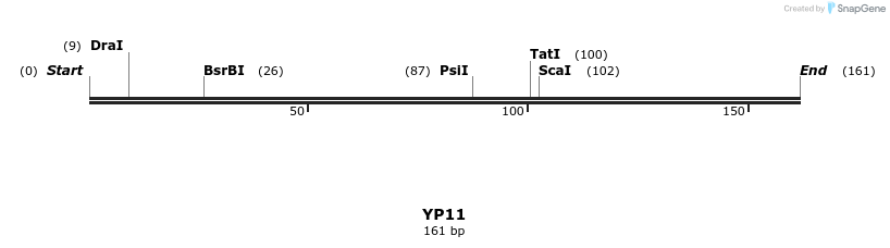 387756_map