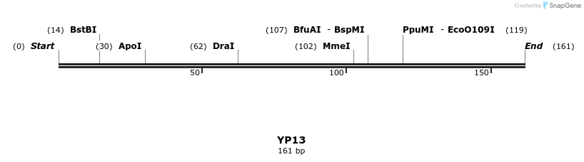 387760_map