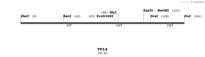 387762_map