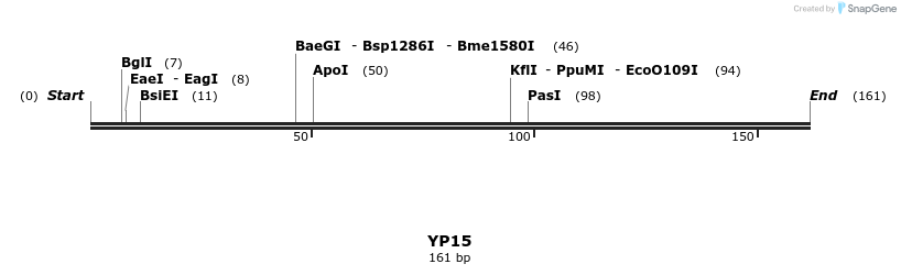 387764_map