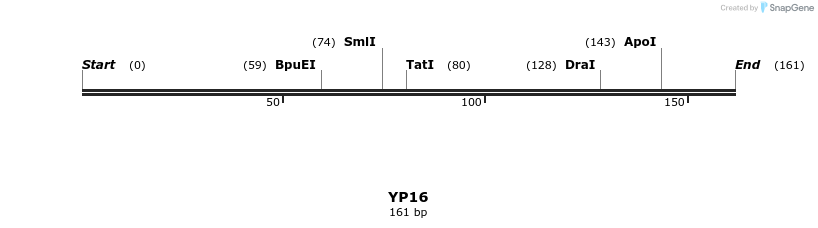 387766_map