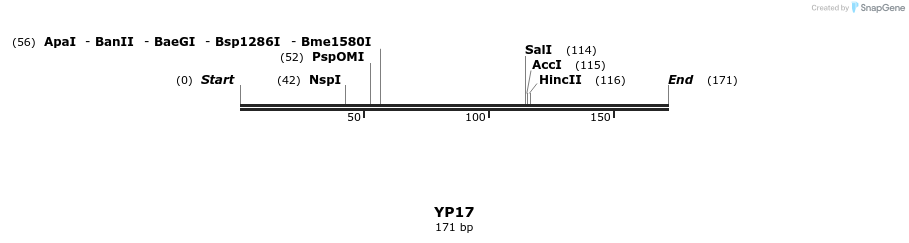 387768_map