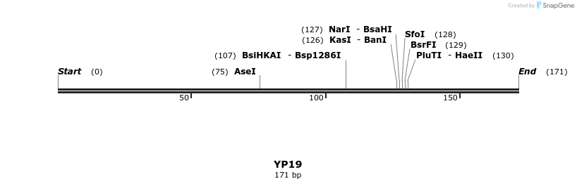 387772_map