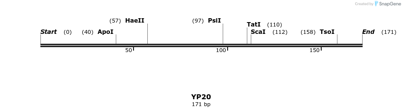 387774_map