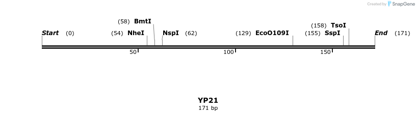 387776_map