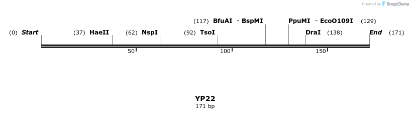 387778_map