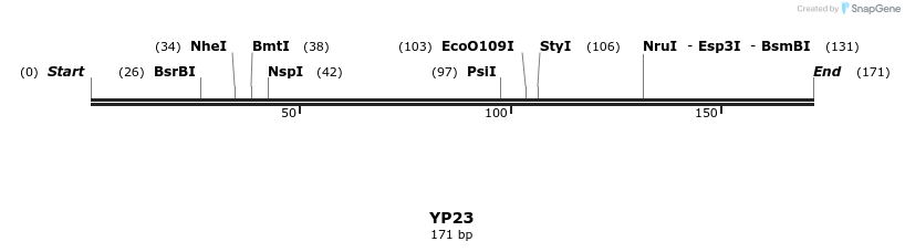 387780_map