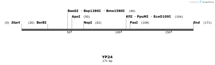 387782_map