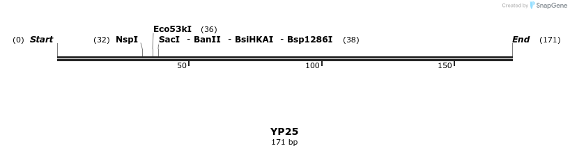 387784_map