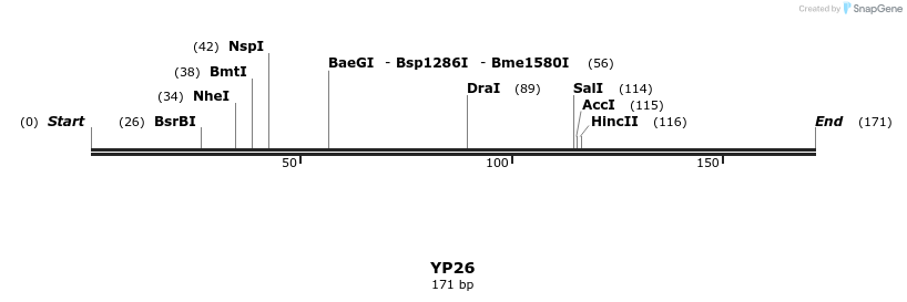 387786_map